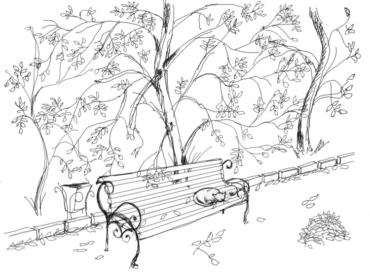 Рисунок на тему осенний лес карандашом