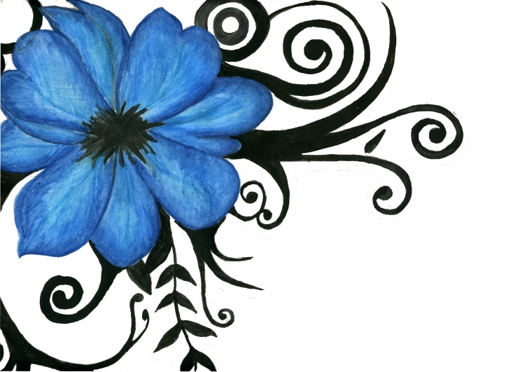Синие цветы для срисовки