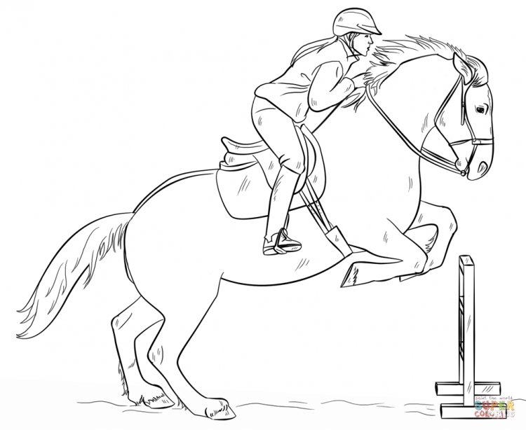 Всадник на лошади для срисовки