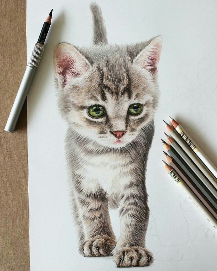 Кошка цветными карандашами легко