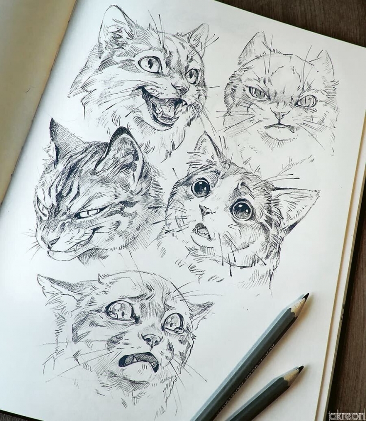 Скетчи котов