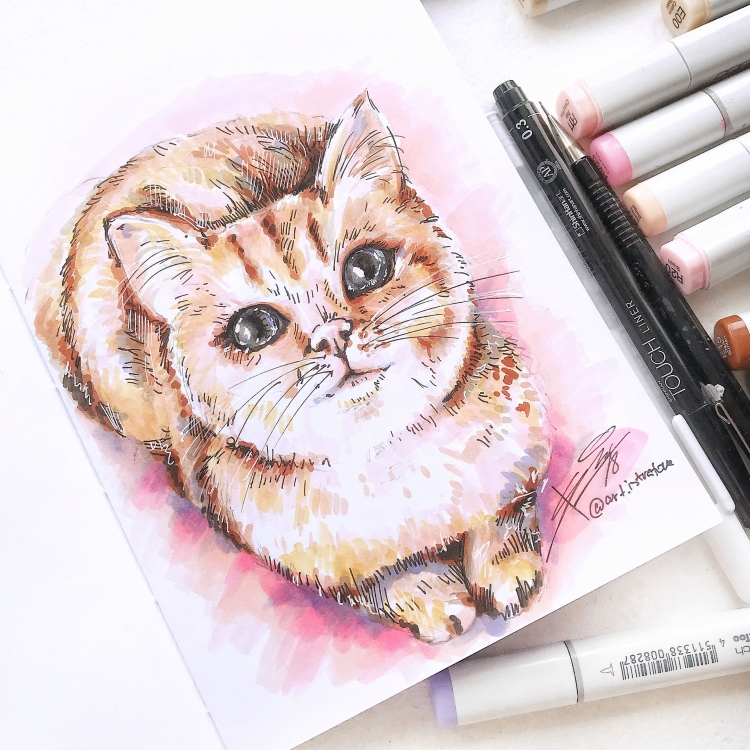 Котик маркерами