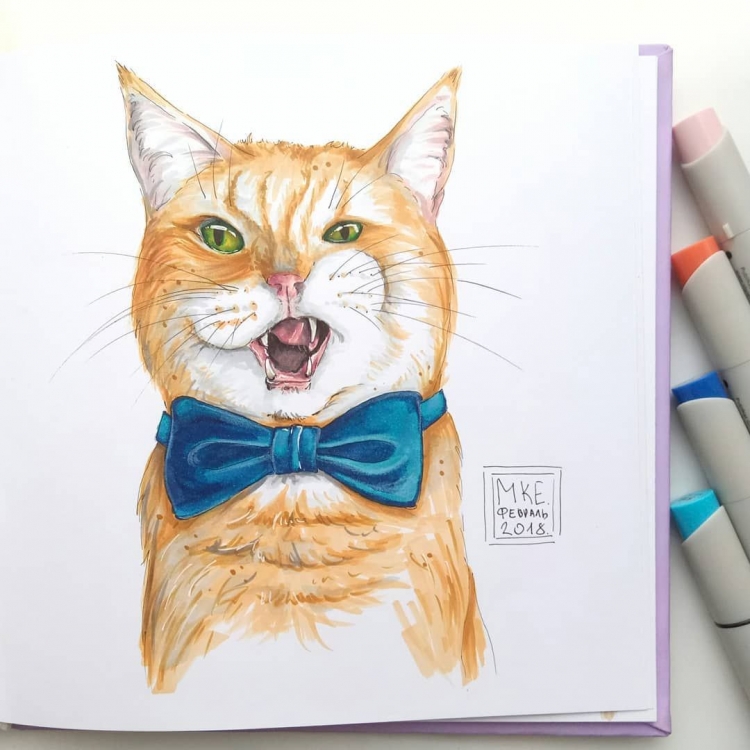 Кошечка маркерами