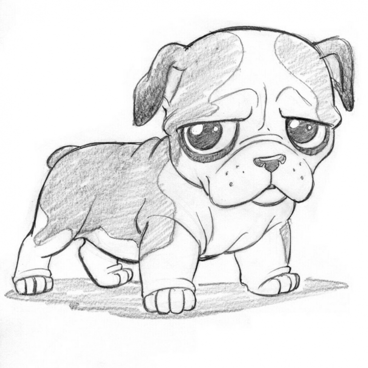 Рисунок маленького щенка для срисовки