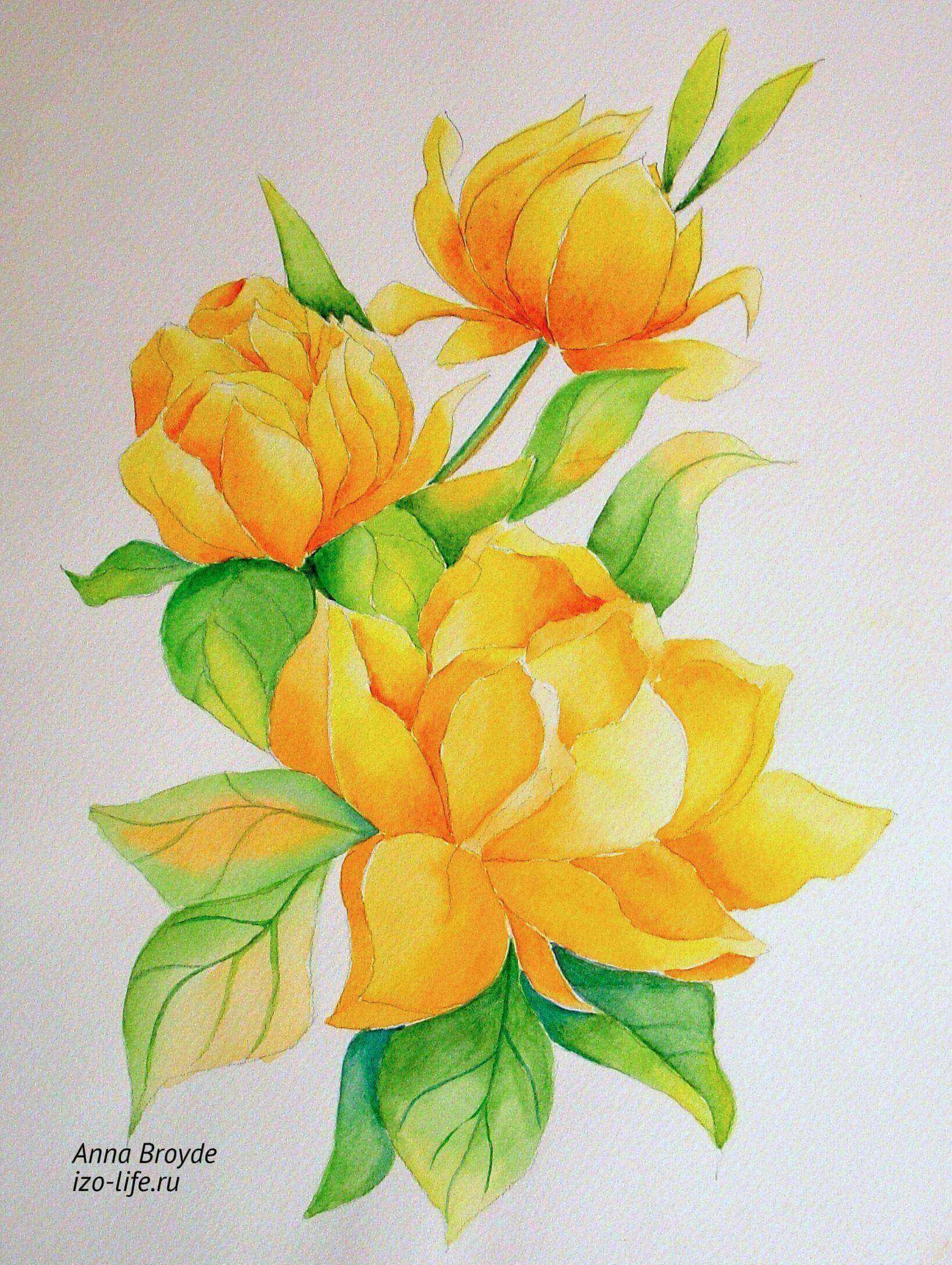 Картинки для срисовки цветы цветные - 74 фото