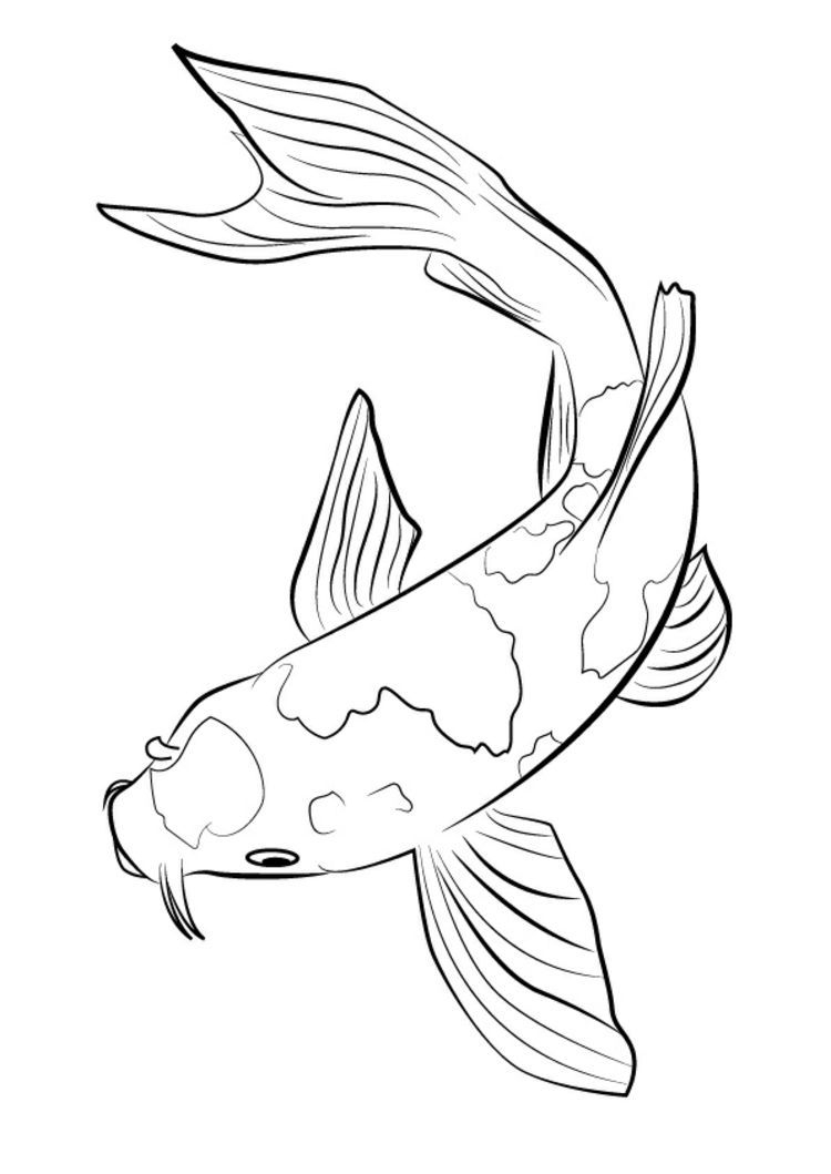 Картинки рыбы для срисовки