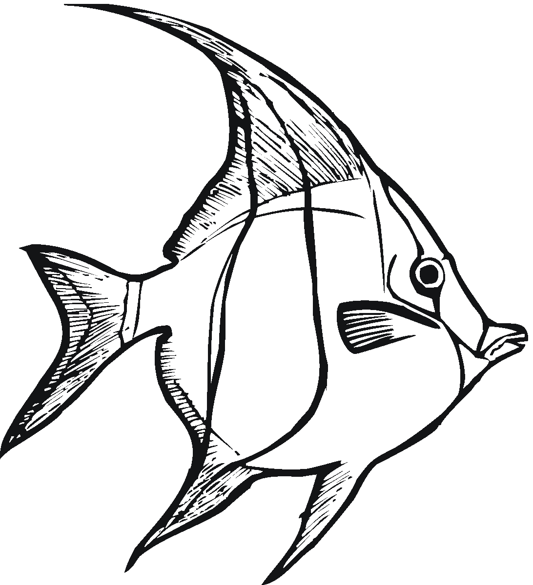 картинки рыбок для рисования
