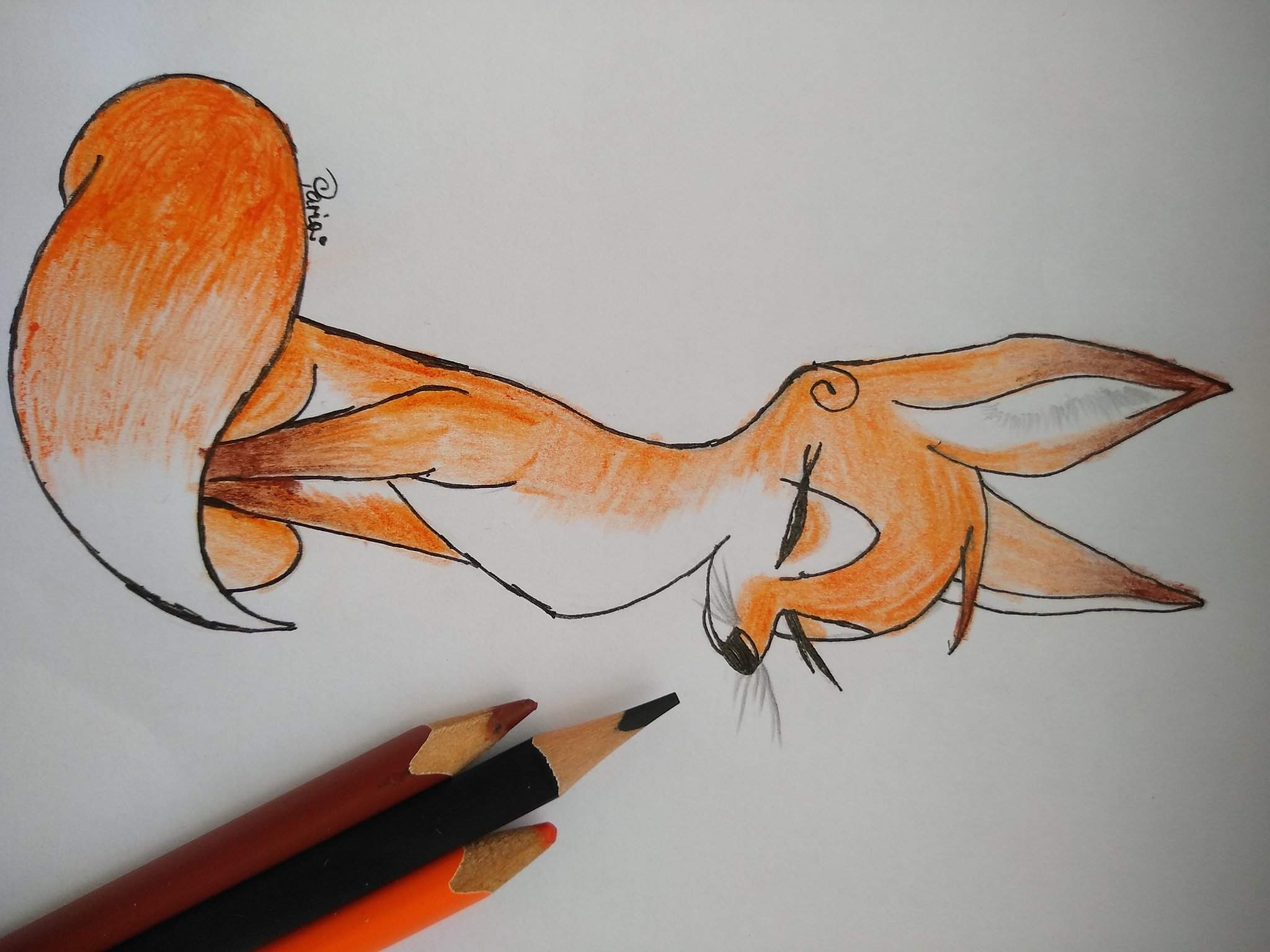 Лиса карандашом легко. Рисунок лисы. Лиса карандашом для срисовки. Лисы для срисовки. Картинки лисы для срисовки.