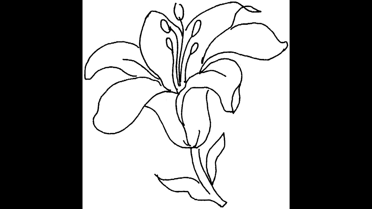 Раскраска аленький цветочек - 64 фото