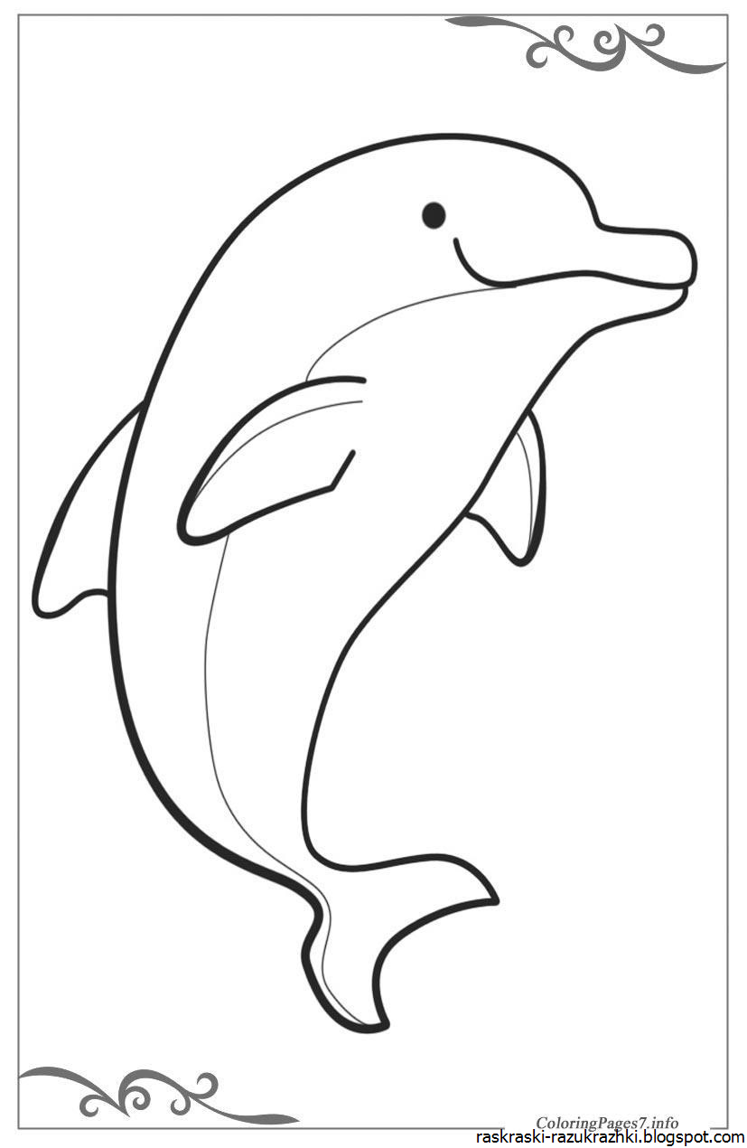Раскраска дельфин скачать и распечатать