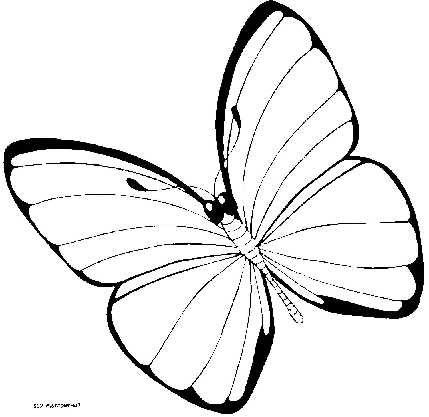 Бабочка с цветными крыльями