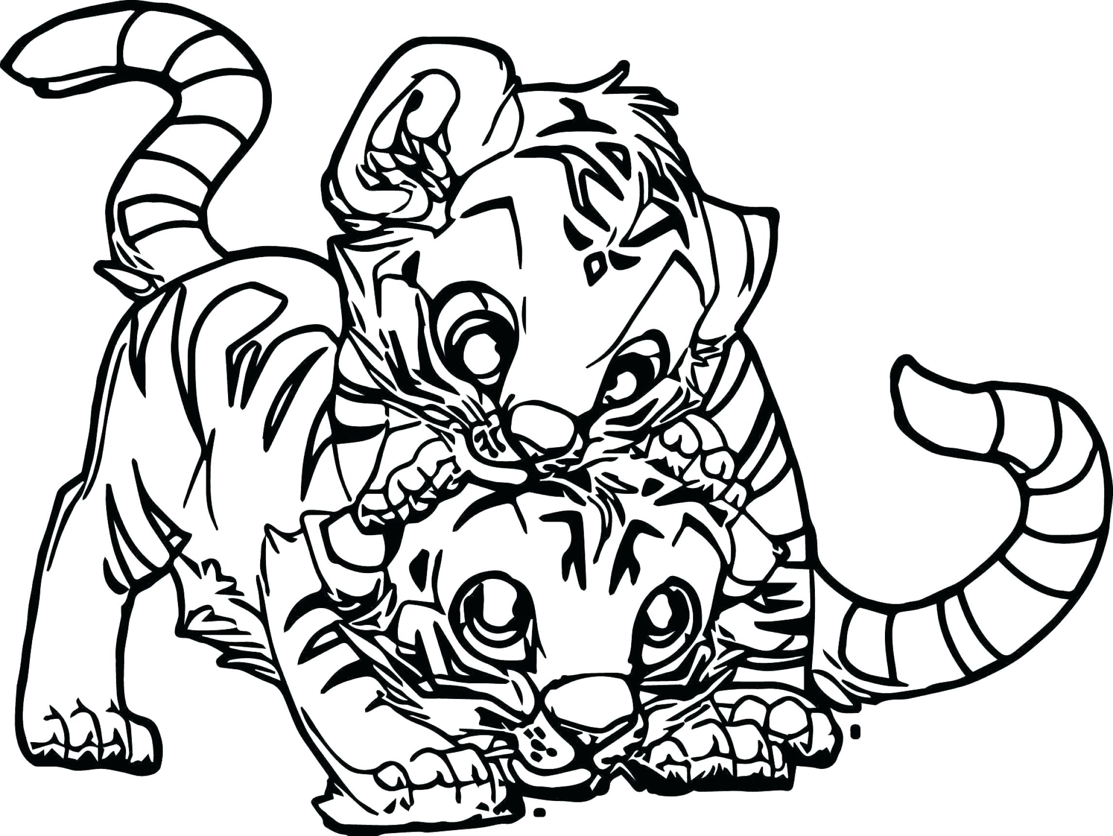 Раскраска Маленький тигр