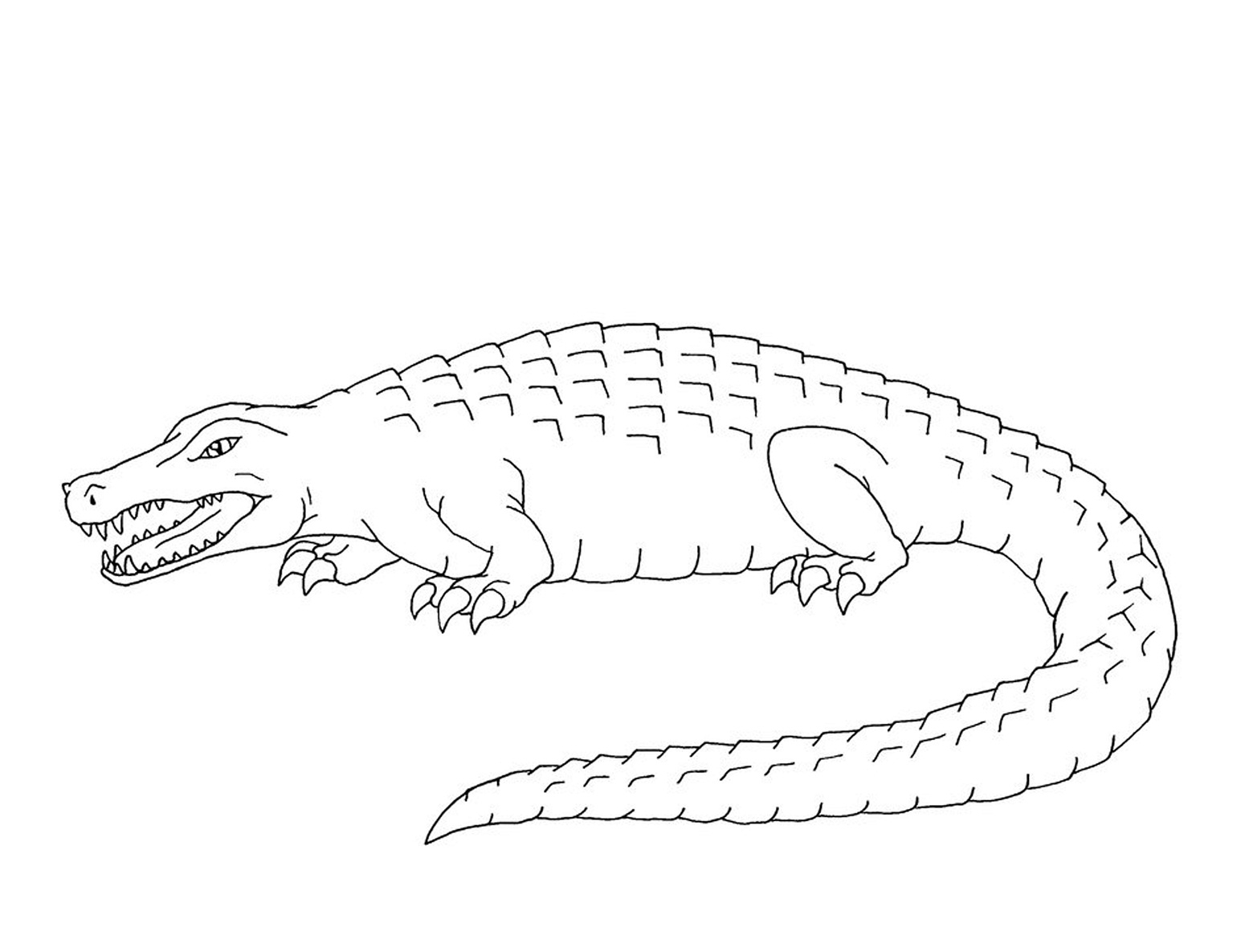 Крокодил Гена и его друзья Раскраска