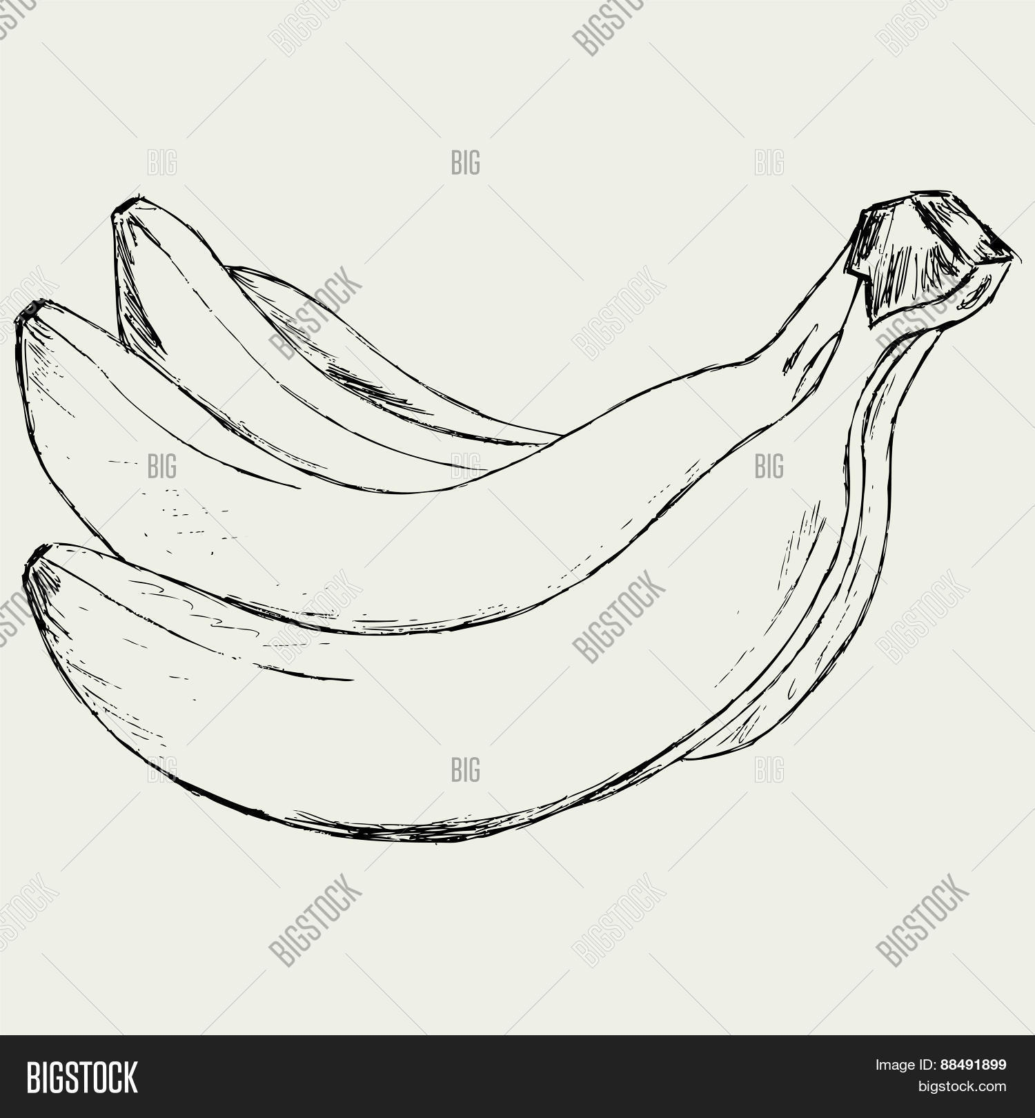 Стоковые векторные изображения по запросу Связка бананов