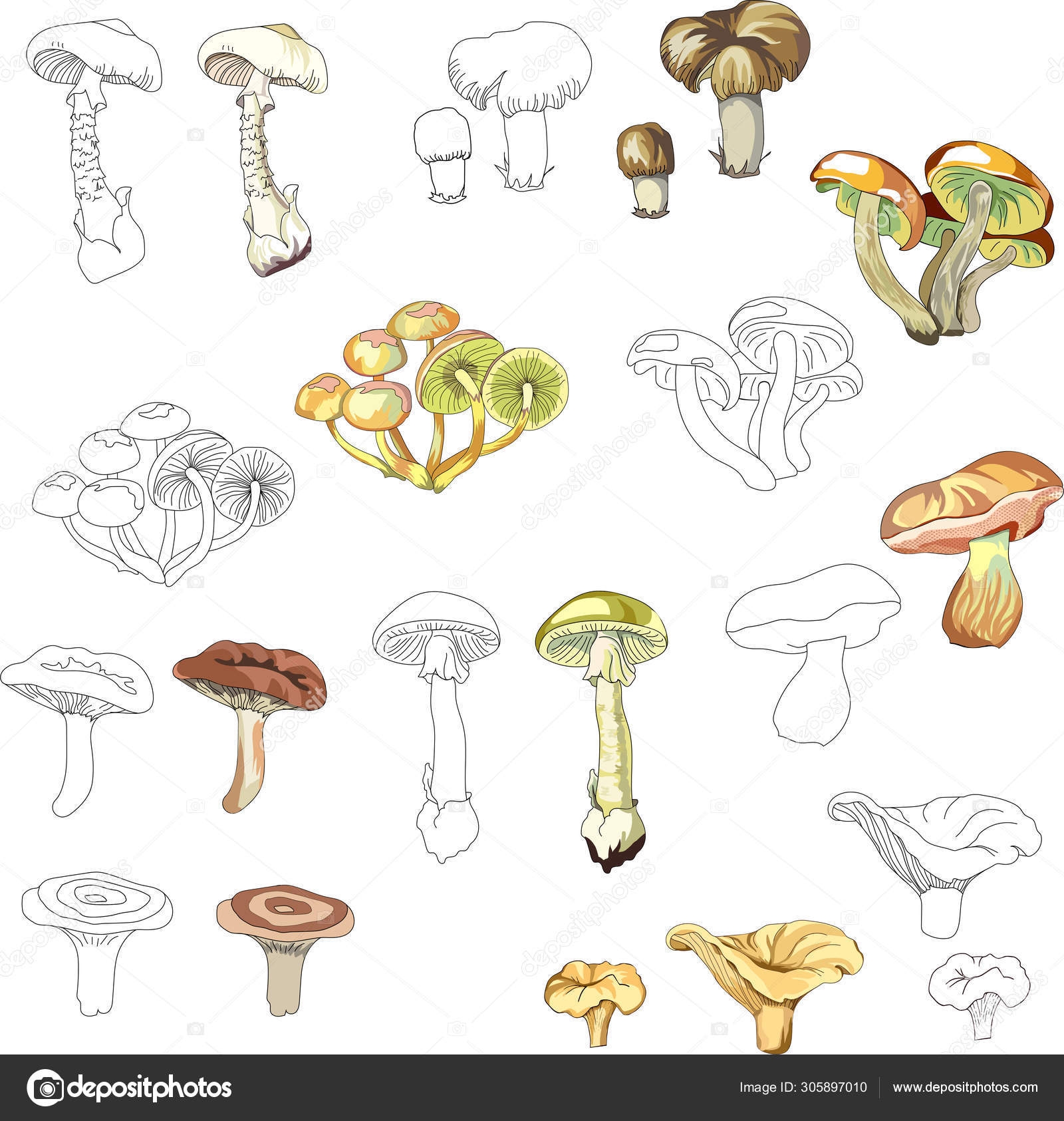Ядовитые грибы раскраска - 57 фото