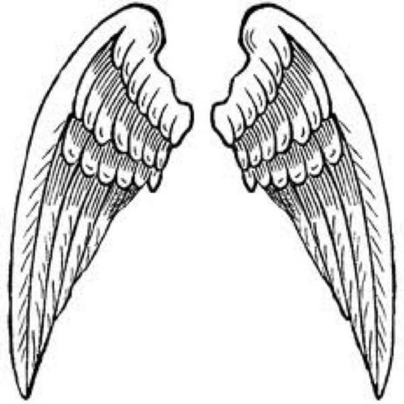 2. Структура крыльев с перьями