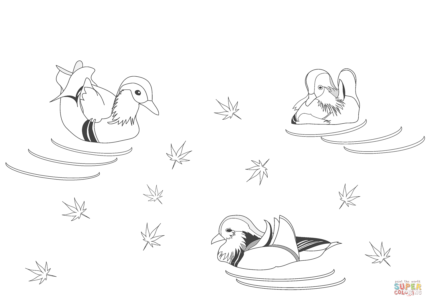 Раскраска Самец и самка утки-мандаринки в поисках еды на берегу реки
