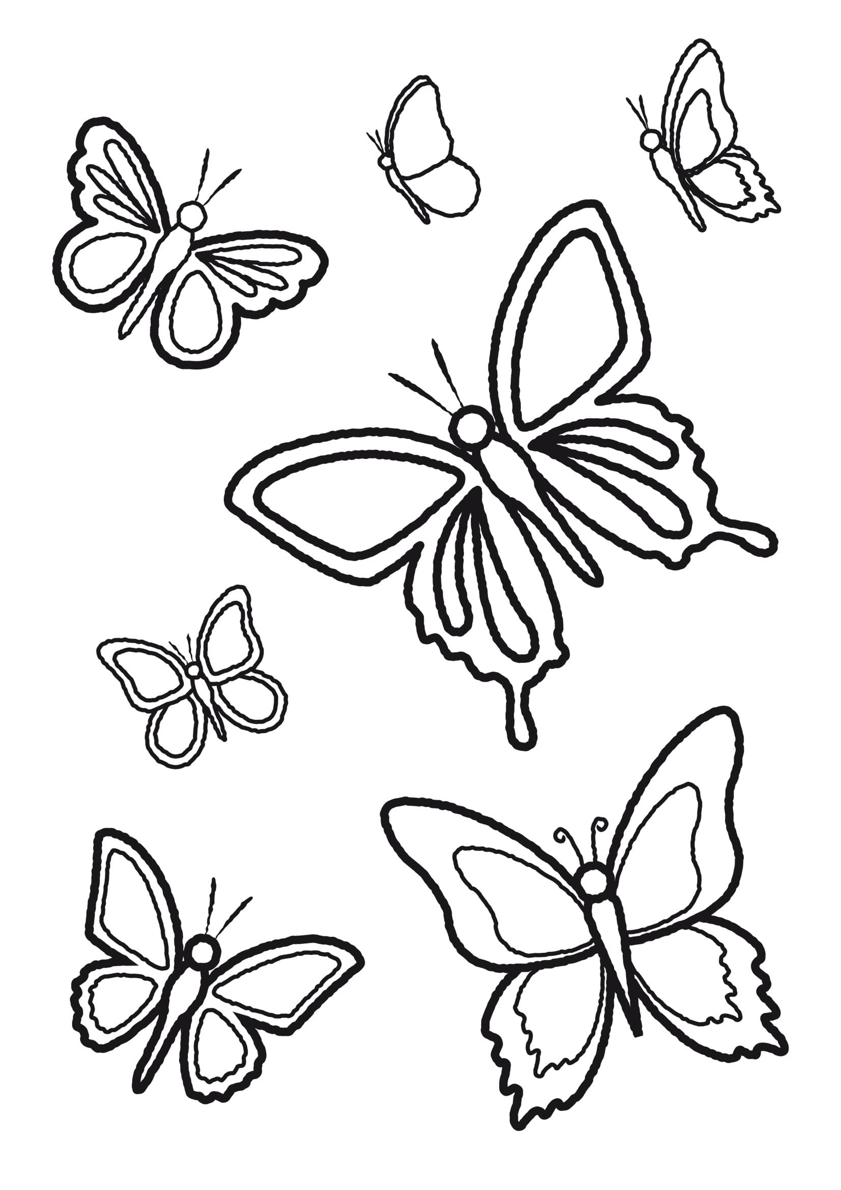 Бабочка – раскраска. Раскраски бабочки и цветы.