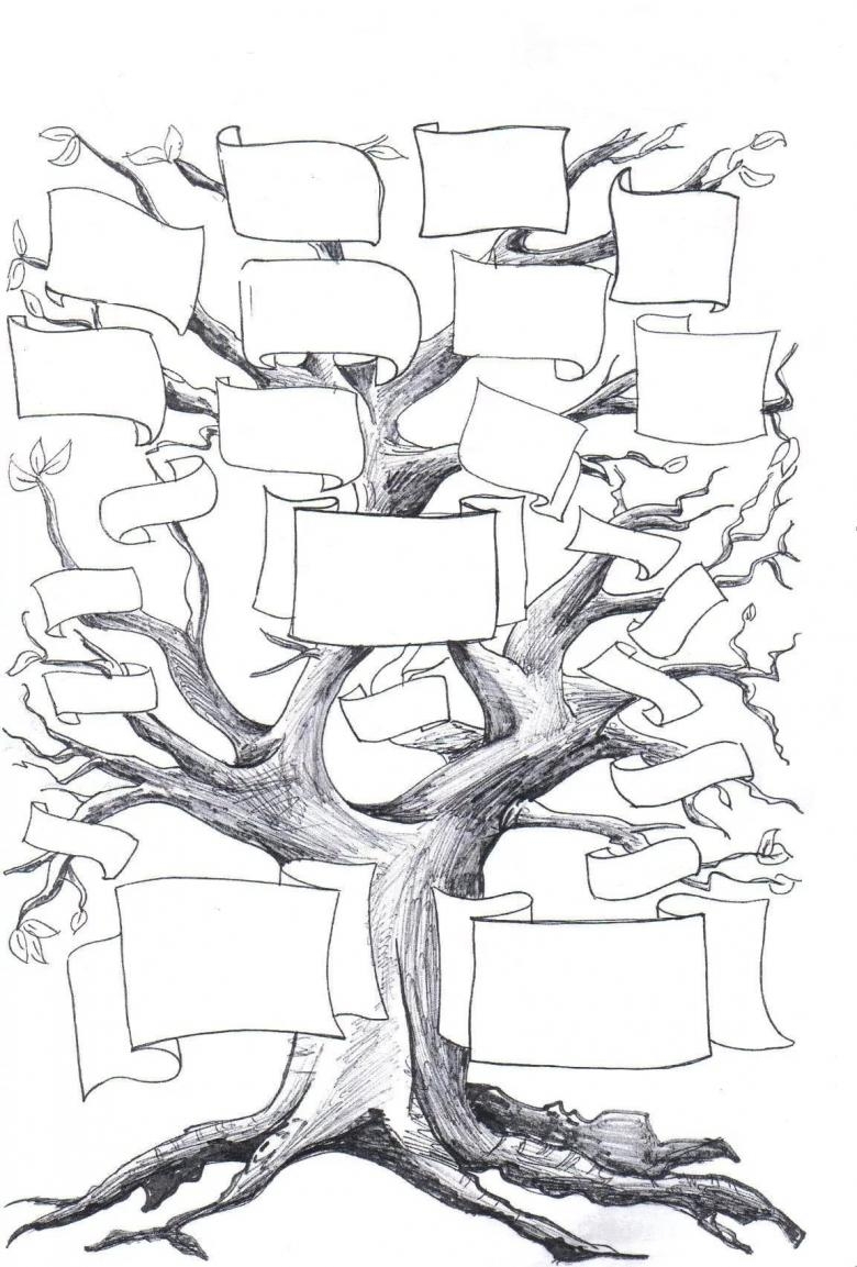 Родословное дерево - раскраска рисунка на шаблоне для детей