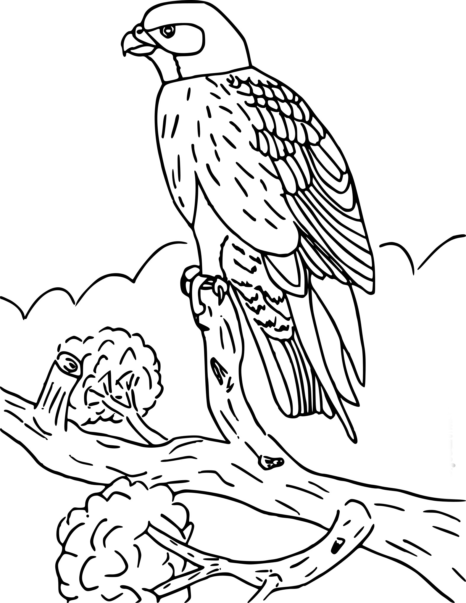 Билибин финист ясный сокол иллюстрации (54 фото)