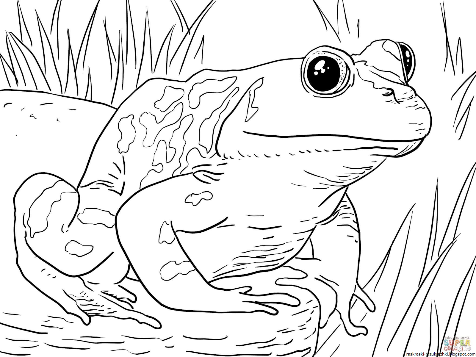 Детский рисунок к сказке о жабе и розе (49 фото)