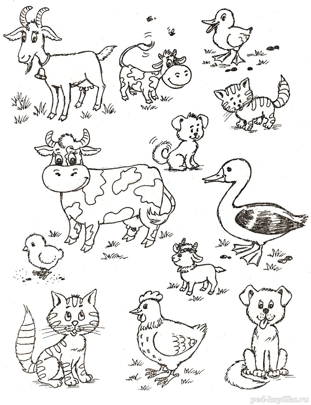 картинки с домашними животными для детей распечатать
