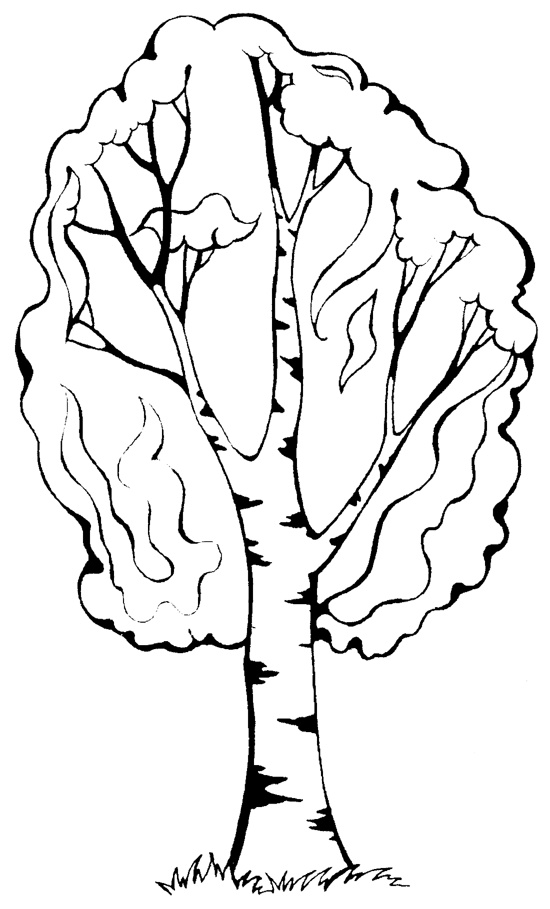 Раскраска раскраска дерево. Раскраска белая береза: зимой, без листьев,