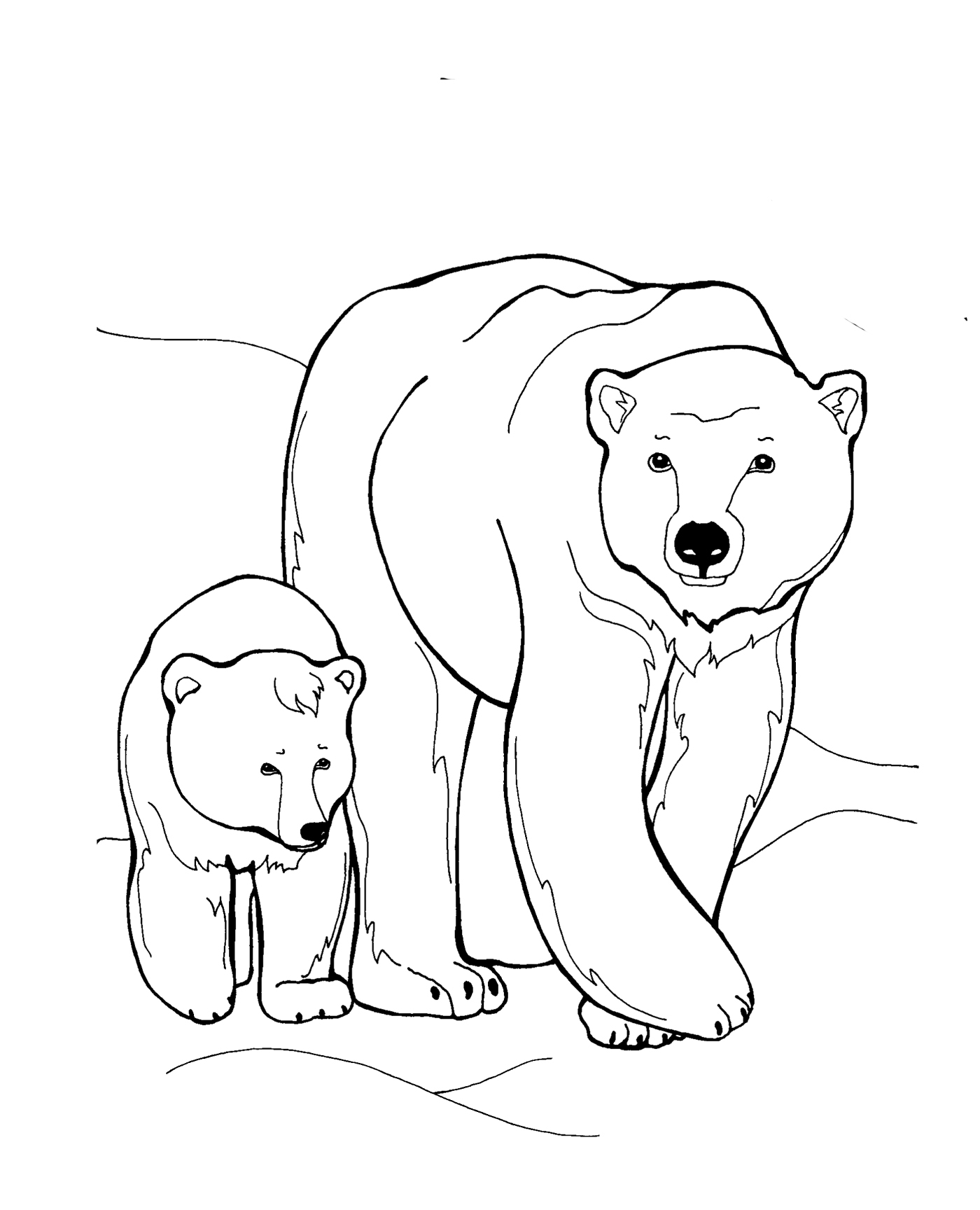 Раскраски медведь - для печати