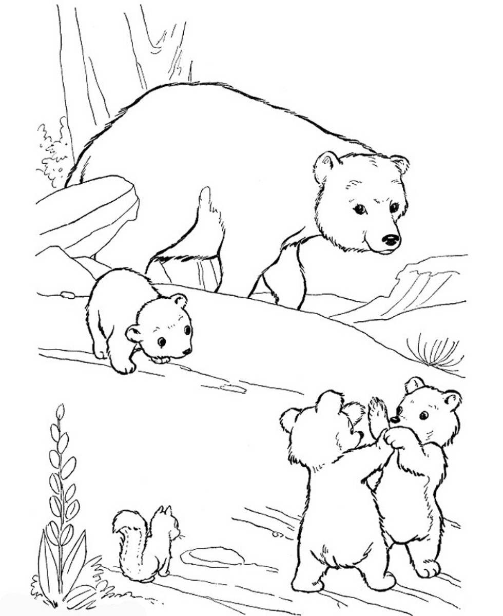 С медвежатами — раскраска
