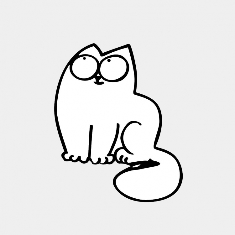 Картинки котиков для срисовки — очень интересные, красивые и легкие