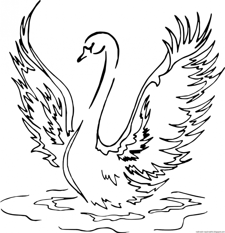 Лебедь рисунок