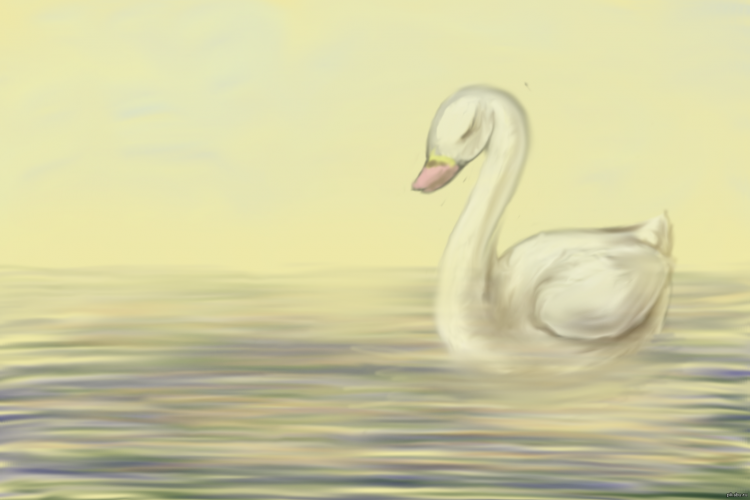 Лебедь рисунок карандашом