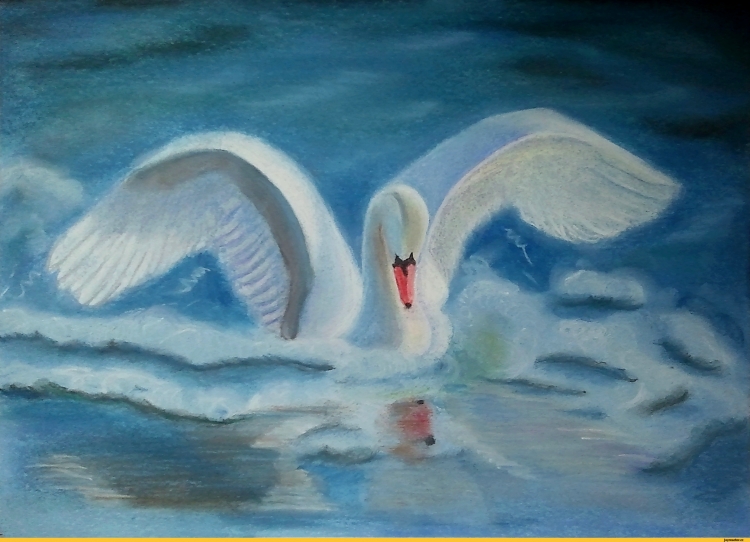 Лебедь рисунок