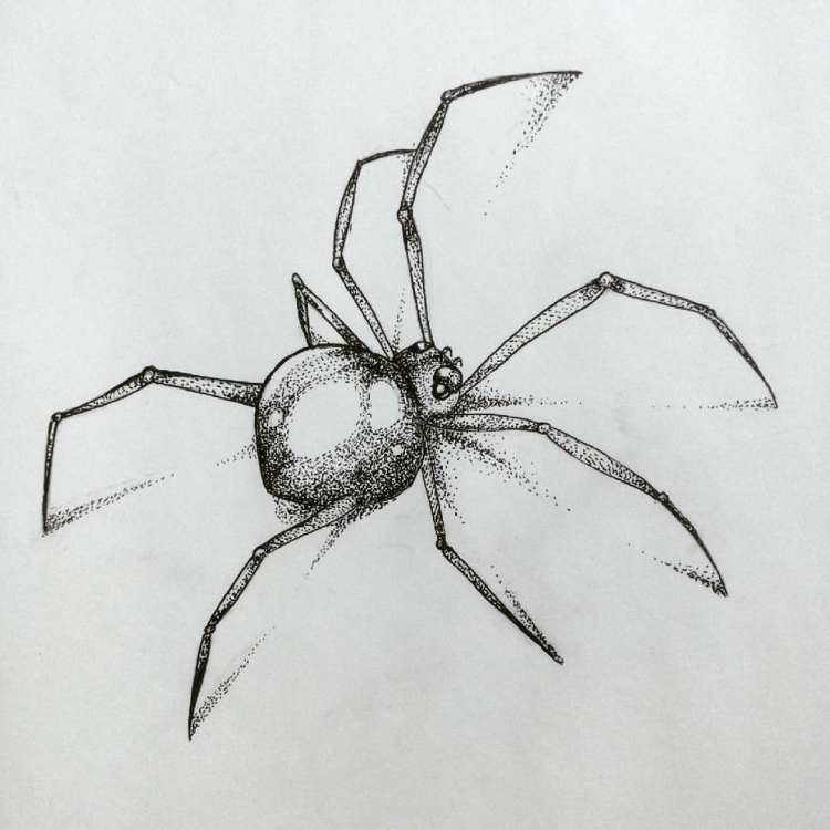 Картинки паука для срисовки