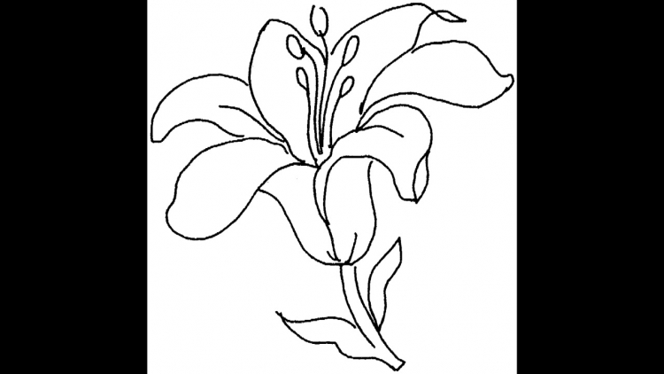 Раскраска аленький цветочек