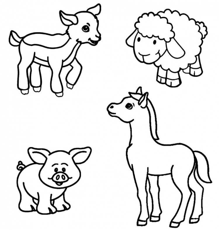 Раскраски для малышей домашние животные