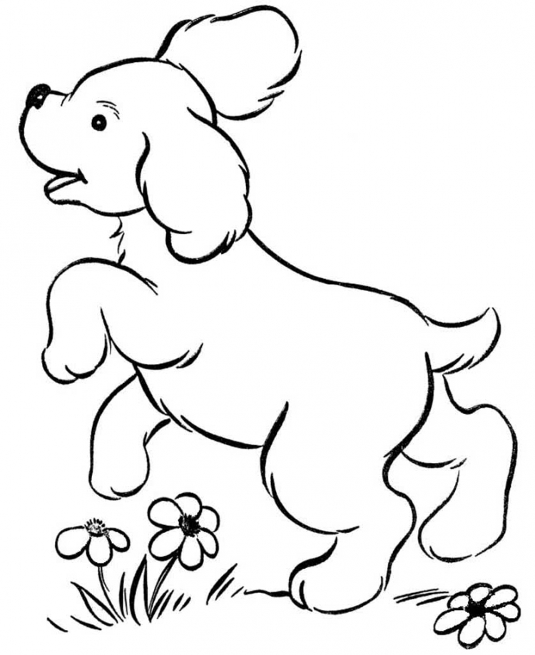 Раскраски собаки и щенки - распечатать бесплатно для детей