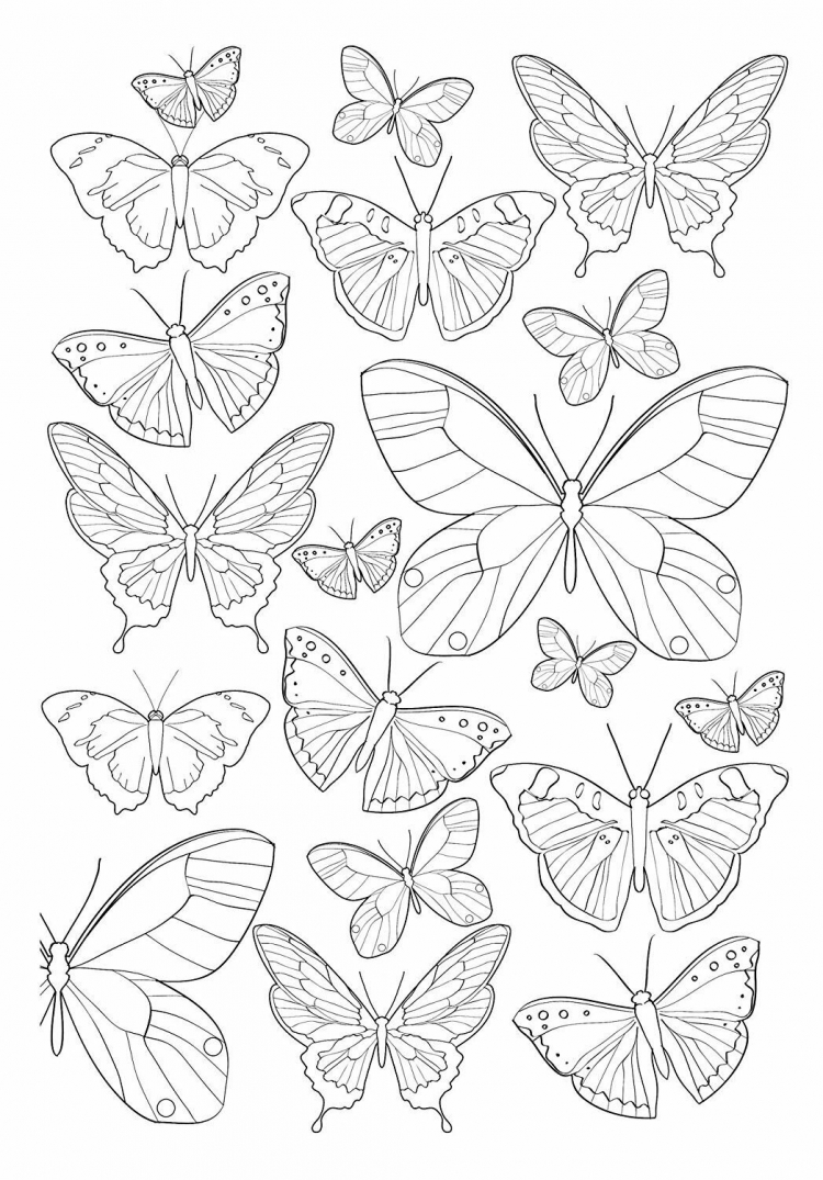 Раскраска маленькие бабочки