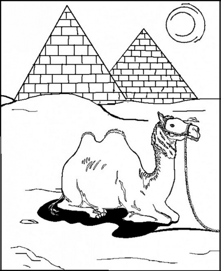 Раскраска пирамиды египта