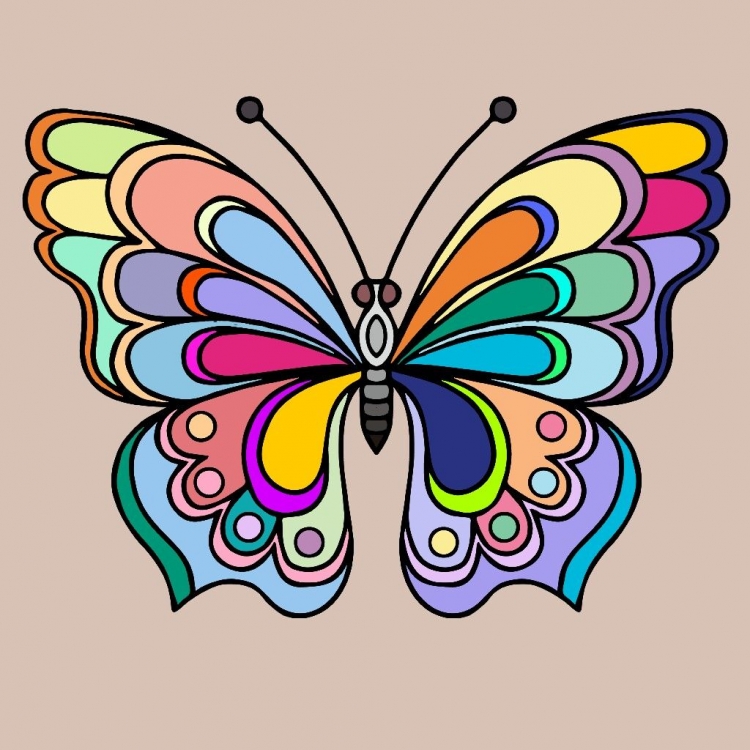 Раскраска бабочка цветная