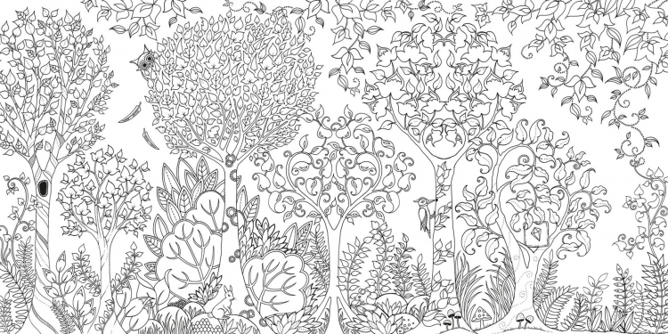 Раскраска джоанна басфорд зачарованный лес