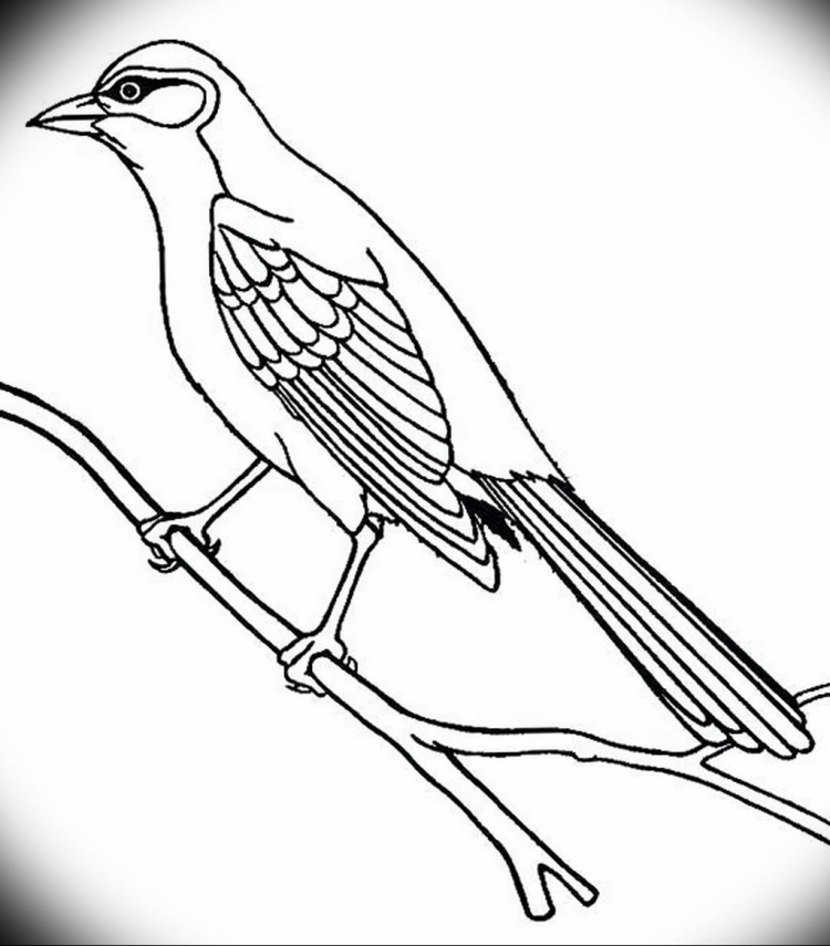 Птицы. Раскраска