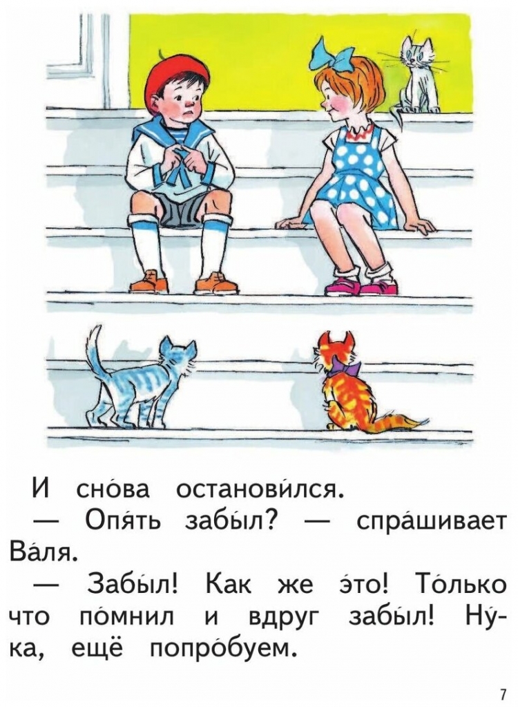 Носов ступеньки
