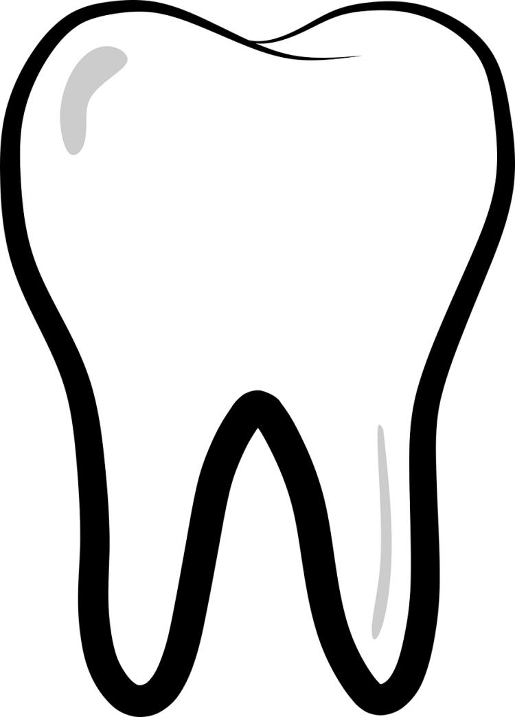 Зуб картинка детская