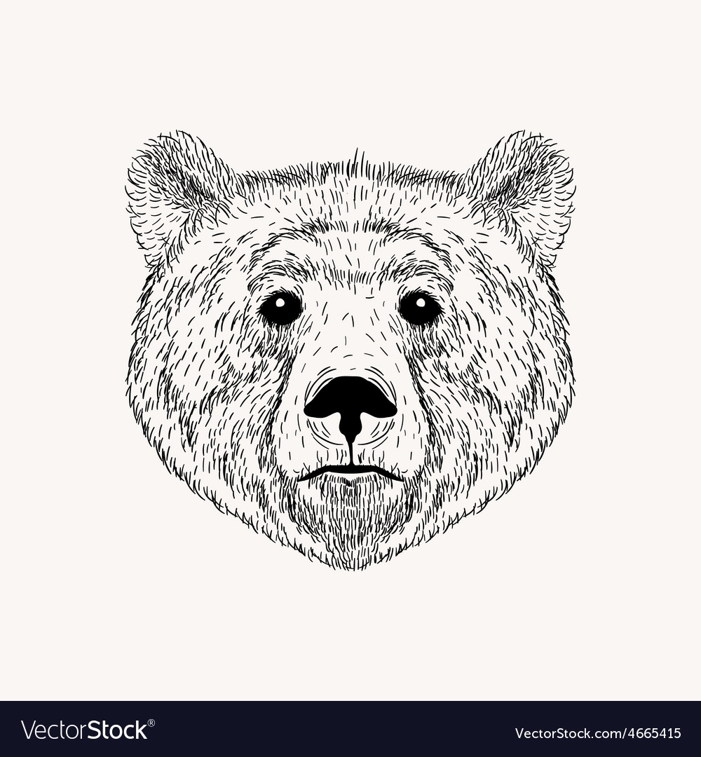 Раскраски медведь для детей