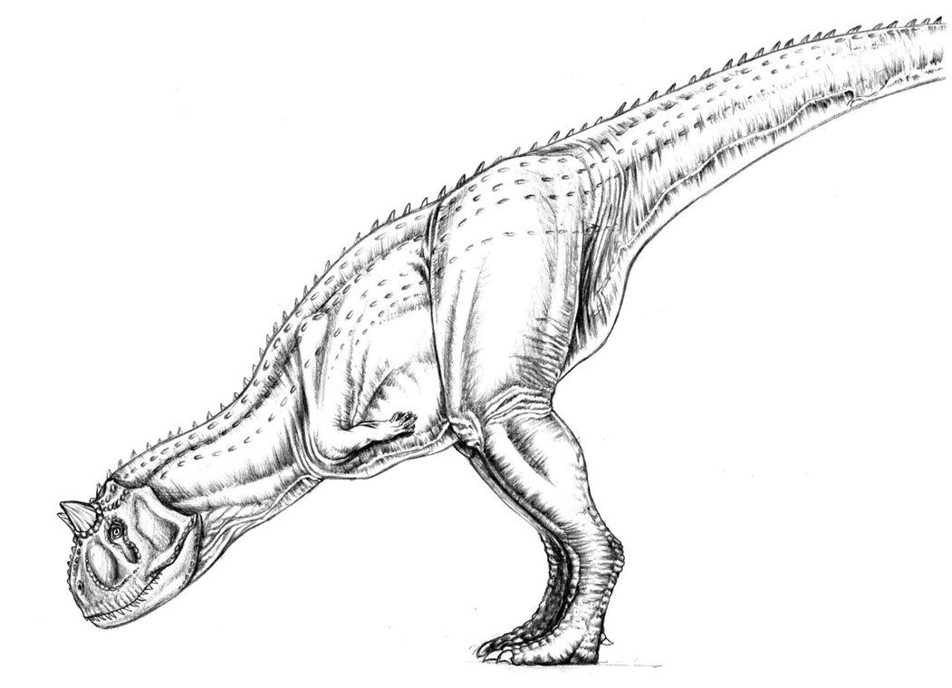 Раскраска динозавр карнотавр - 71 фото