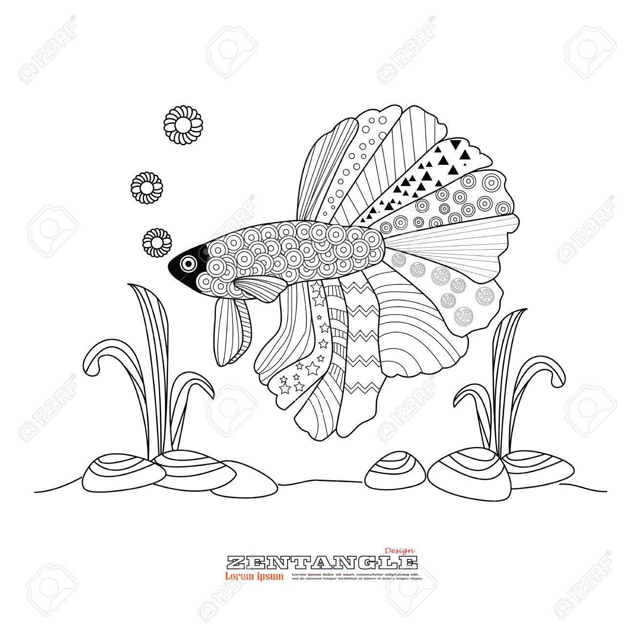Рыбка петушок - Картинки (75 фото)! » thebestterrier.ru - Картинки и открытки, гифки 