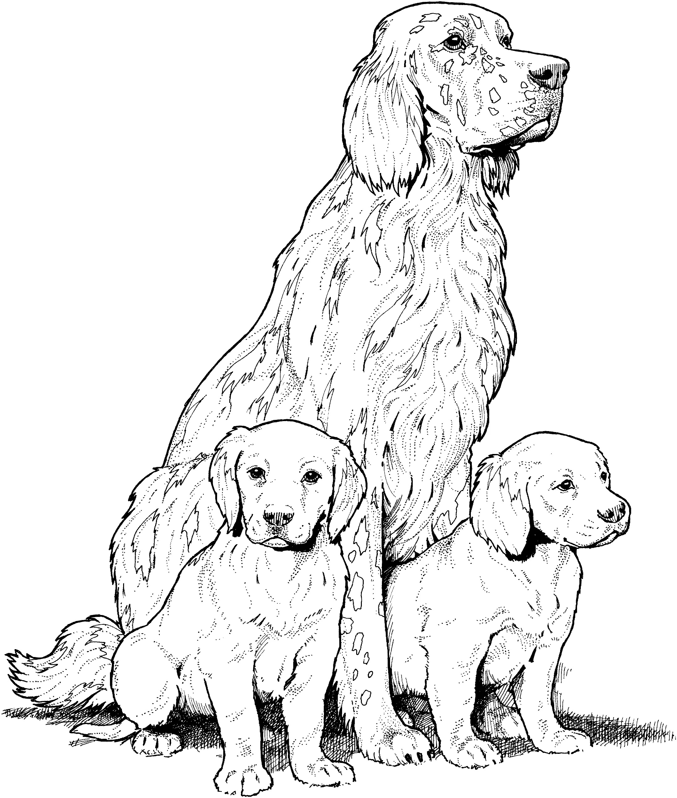 Раскраски собак и щенков для детей