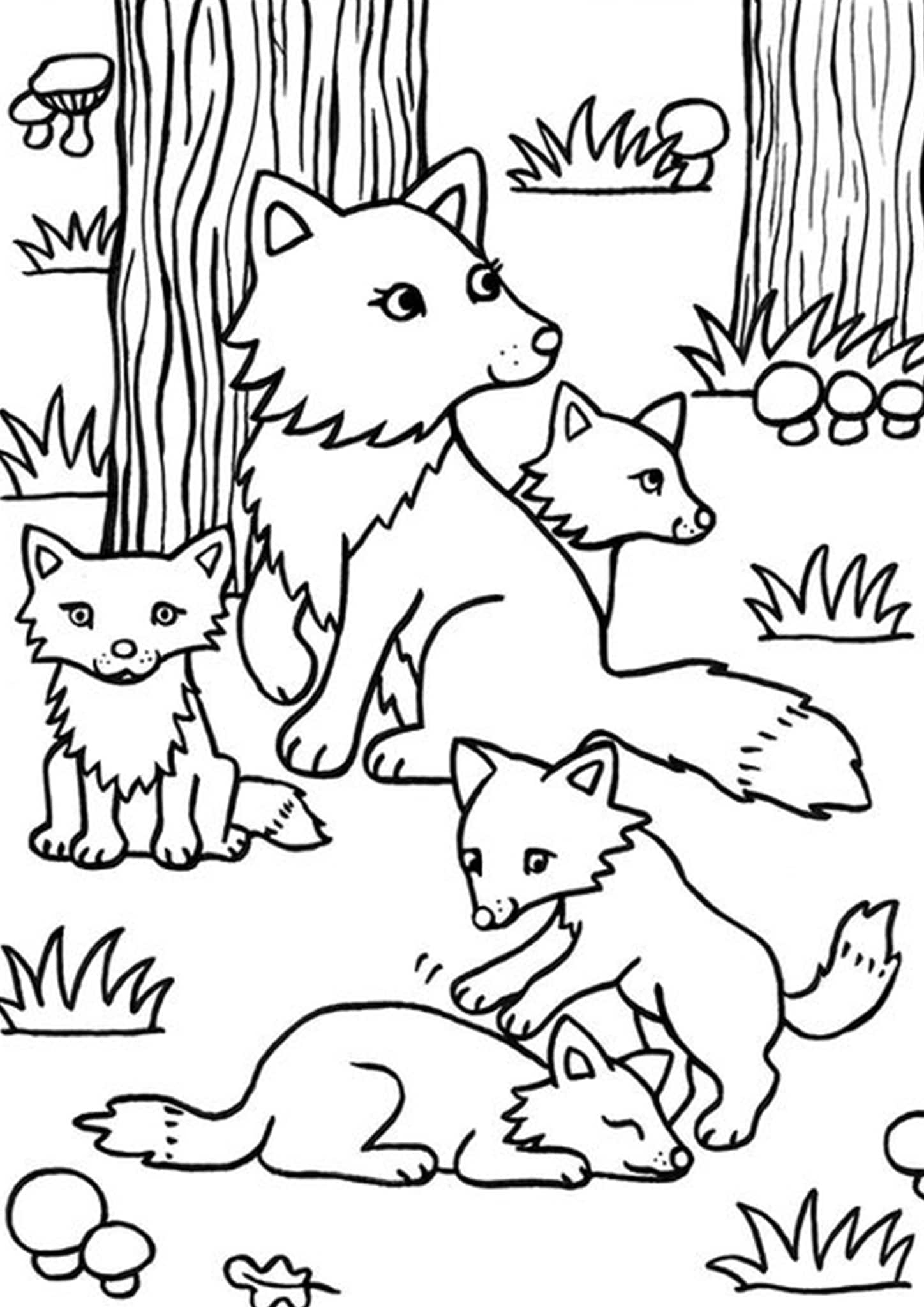 Раскраски для детей на тему «Дикие животные», распечатать