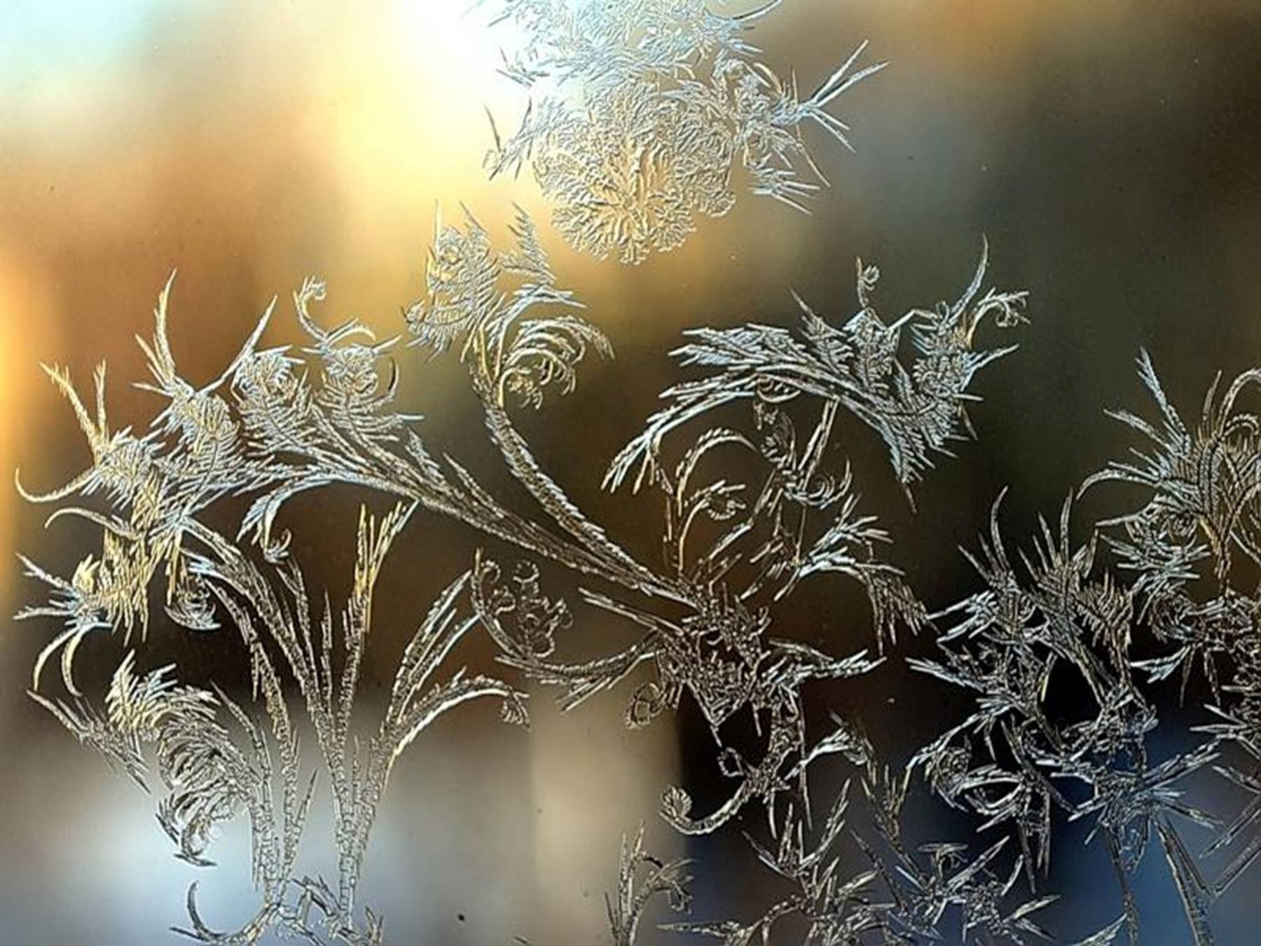 Мороз рисует на стекле узоры